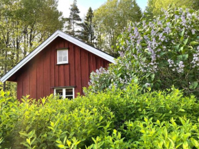 Holiday home ÖDEBORG, Herräng